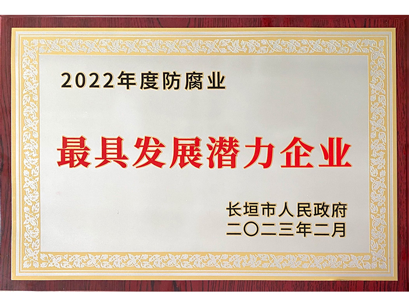 发展潜力企业